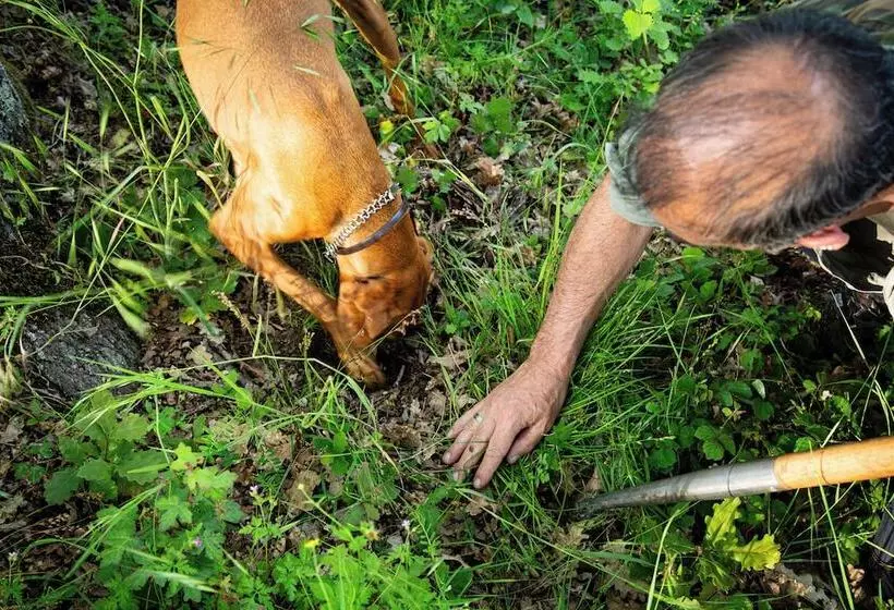 Maaseutuhotelli Agriturismo Borgo Scaffaia