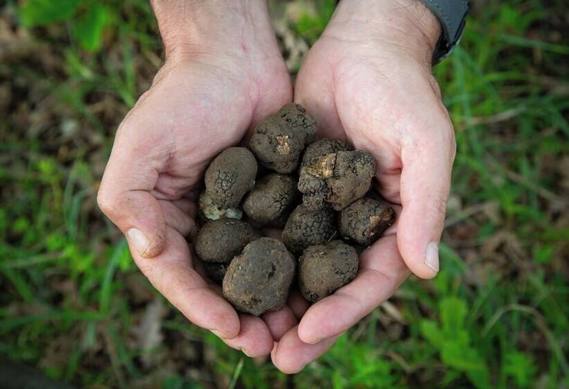 田舎風ホテル Agriturismo Borgo Scaffaia