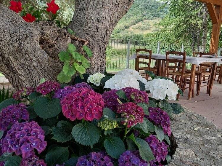 乡村酒店  Agriturismo E Camere Su Cuile Countryside Comfort Rooms