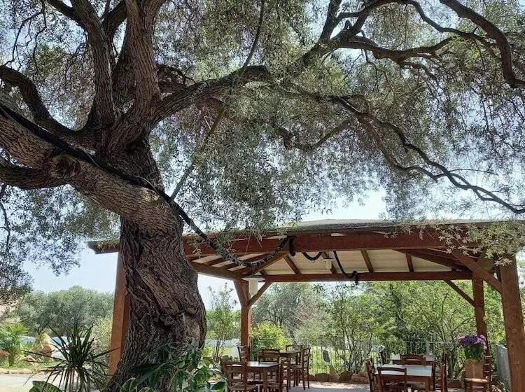 Maaseutuhotelli Agriturismo E Camere Su Cuile Countryside Comfort Rooms