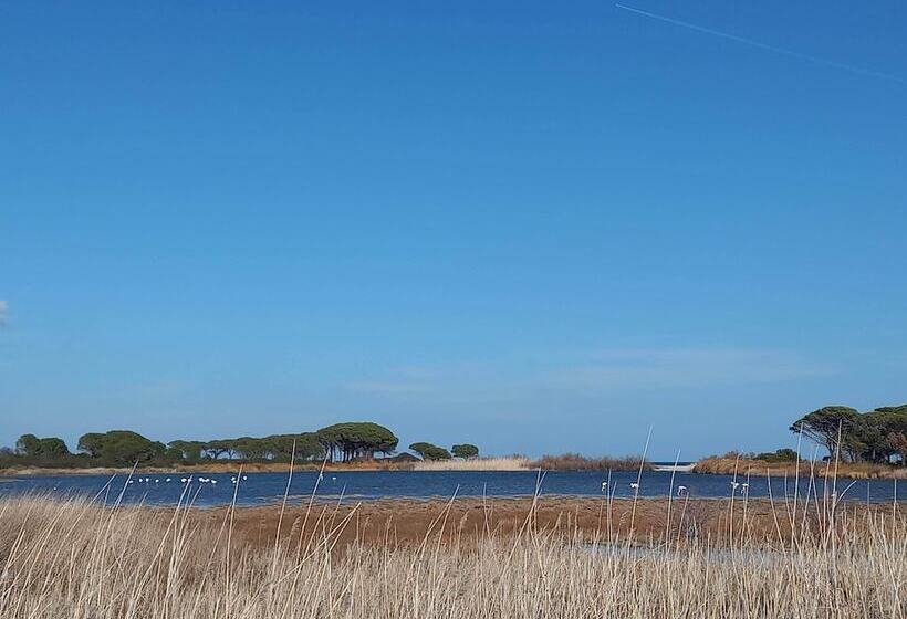 乡村酒店  Agriturismo E Camere Su Cuile Countryside Comfort Rooms