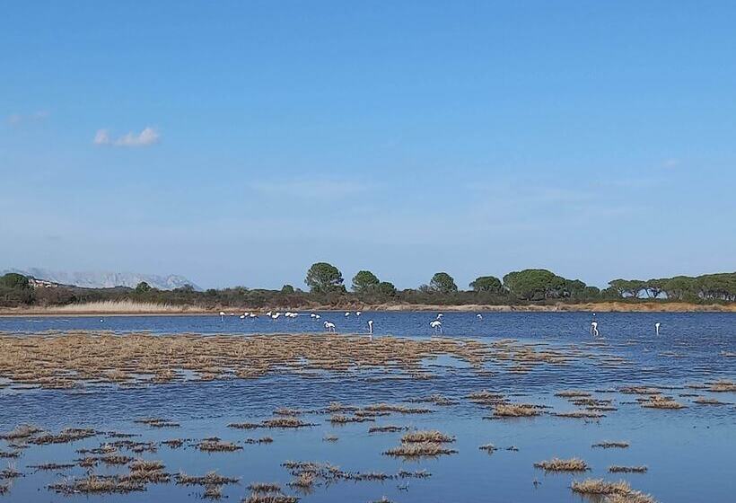 乡村酒店  Agriturismo E Camere Su Cuile Countryside Comfort Rooms