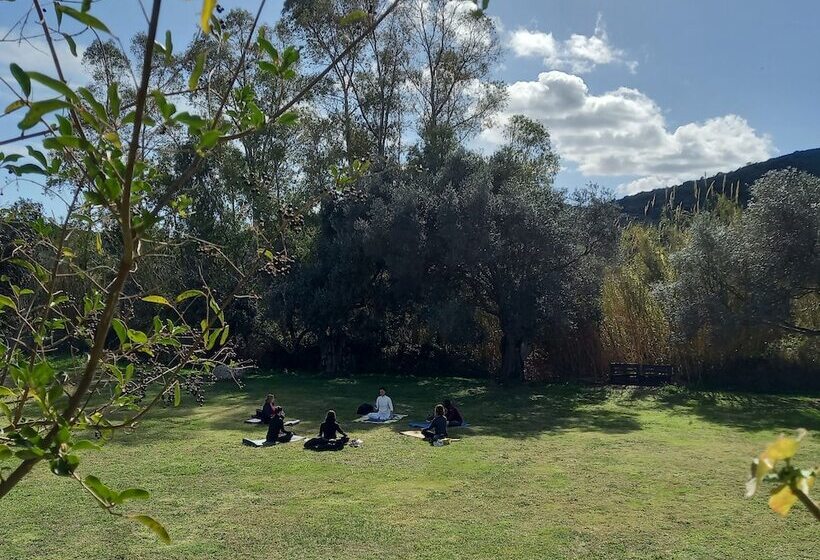 乡村酒店  Agriturismo E Camere Su Cuile Countryside Comfort Rooms