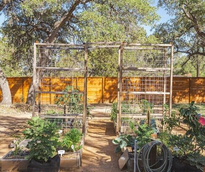 リゾートホテル The Macaw Yurt At Camposanto Atx Glamping On Lake Travis