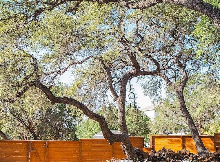 リゾートホテル The Macaw Yurt At Camposanto Atx Glamping On Lake Travis