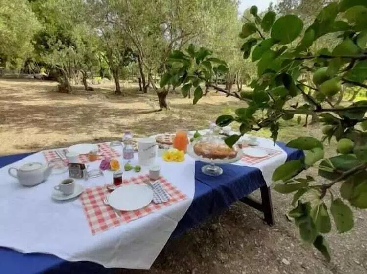 ベッドアンドブレックファースト Affittacamere Il Girasole