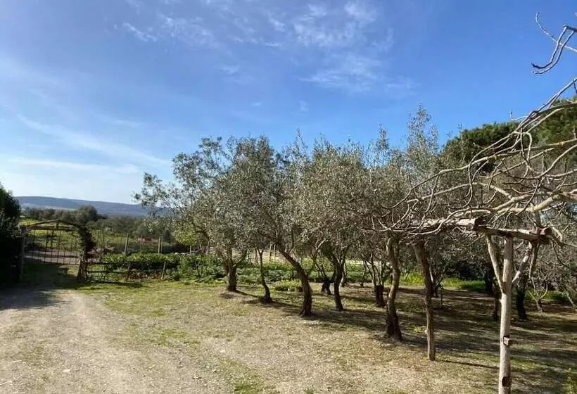 ベッドアンドブレックファースト Affittacamere Il Girasole