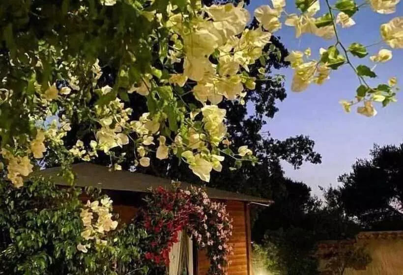 ベッドアンドブレックファースト Affittacamere Il Girasole