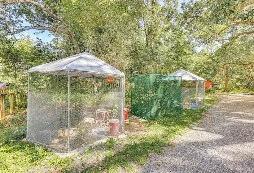 Cozy Fruit Cove Cottage On Hobby Farm W/ Wildlife!