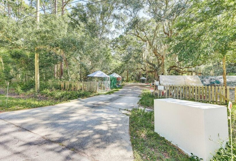 Cozy Fruit Cove Cottage On Hobby Farm W/ Wildlife!