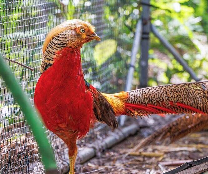 Cozy Fruit Cove Cottage On Hobby Farm W/ Wildlife!