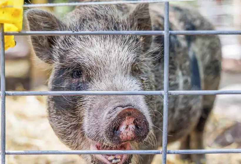 Cozy Fruit Cove Cottage On Hobby Farm W/ Wildlife!