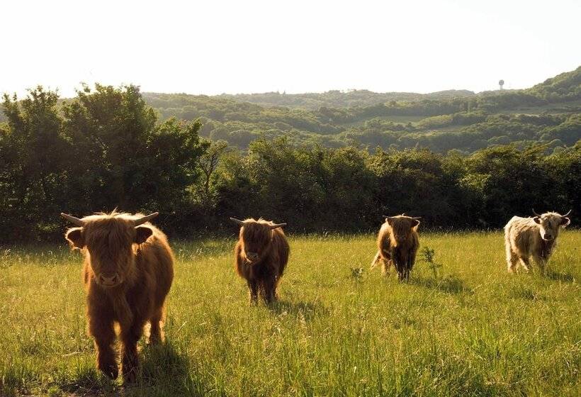 Отель Domaine Les Lanternes