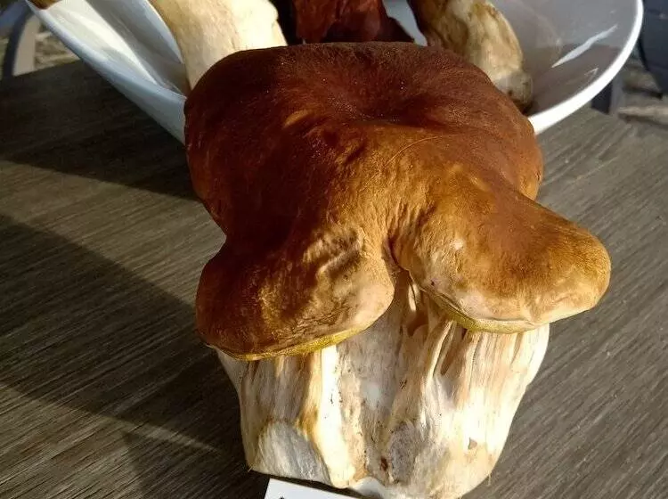 Hotelli Hôtel Restaurant Le Montlo 48