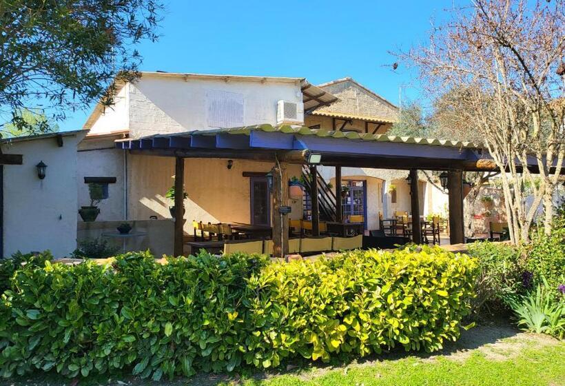 پانسیون Mas D Alivon