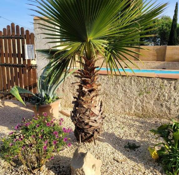 پانسیون Mas D Alivon