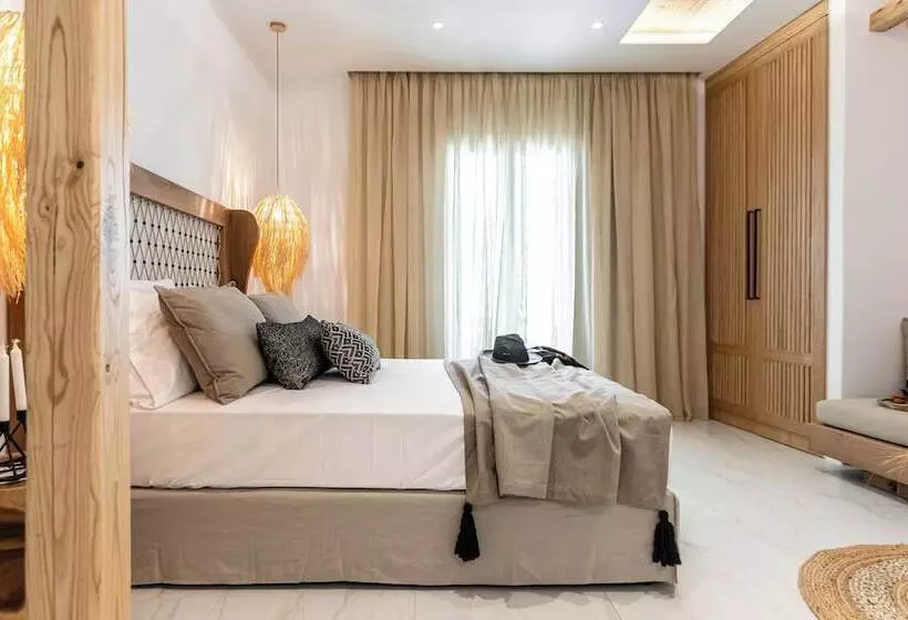 V Luxury Apartments Naxos