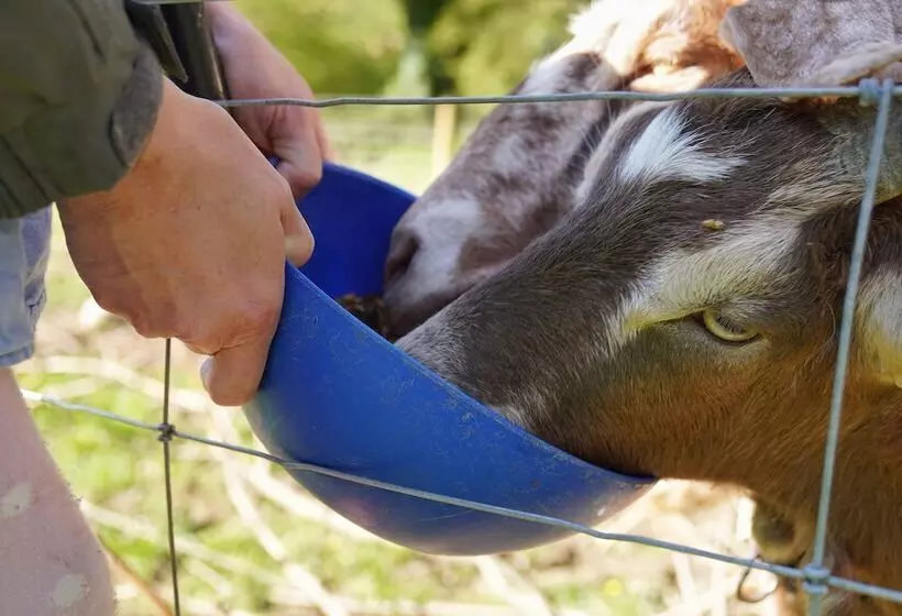 Family Friendly Rural Riverside 5 Bed Cottage