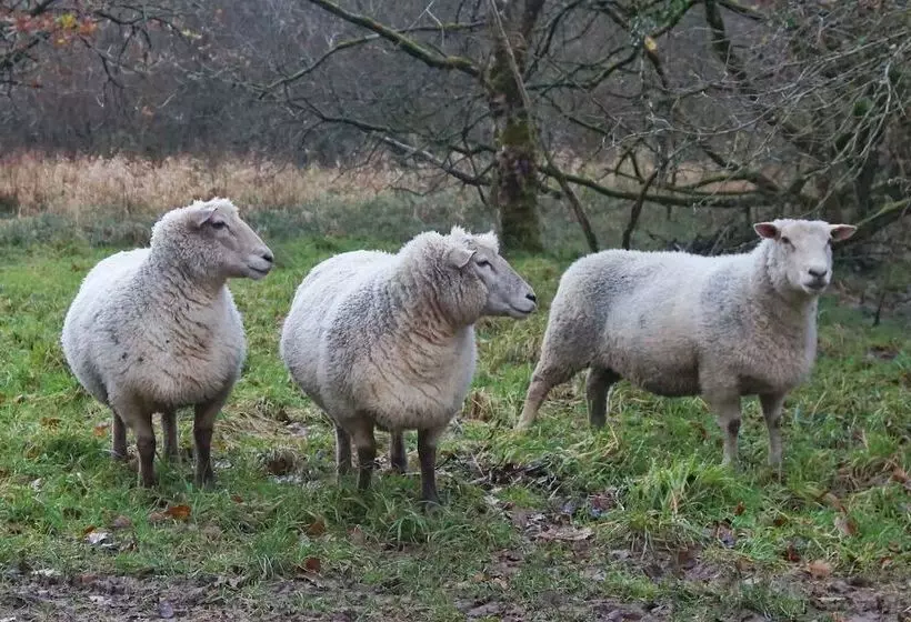 Family Friendly Rural Riverside 5 Bed Cottage