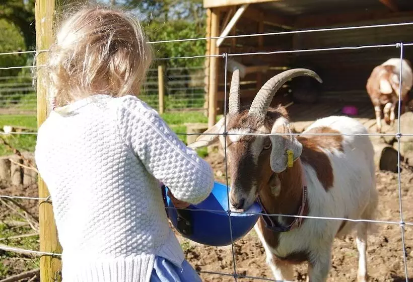 Family Friendly Rural Riverside 5 Bed Cottage