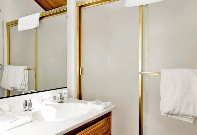 The Moose Tree House #2381