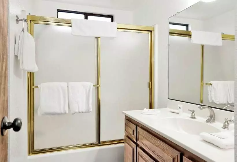 The Moose Tree House #2381