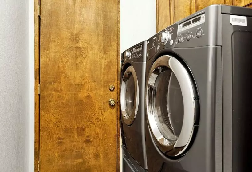 The Moose Tree House #2381