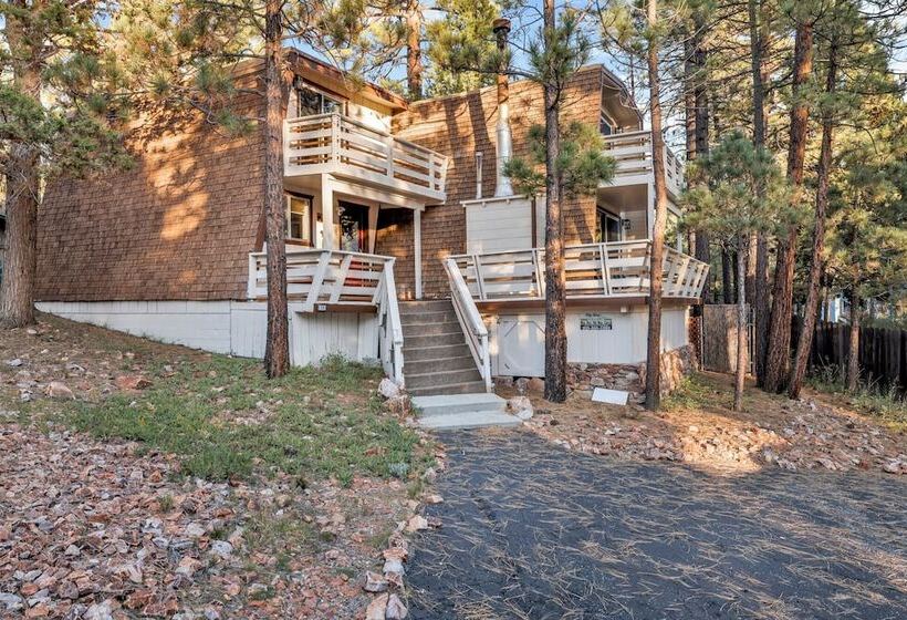 Fox & Bears Retreat #2190