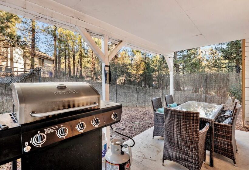 Fox & Bears Retreat #2190