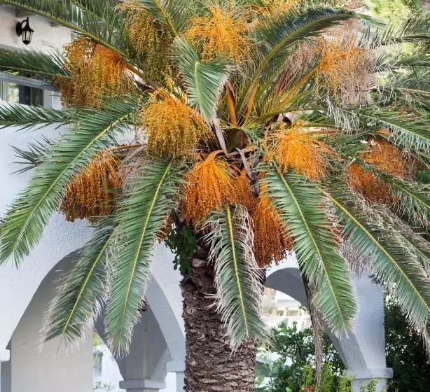 Hôtel Achilleion