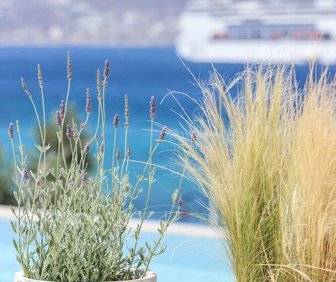 בית מלון כפרי Life Suites