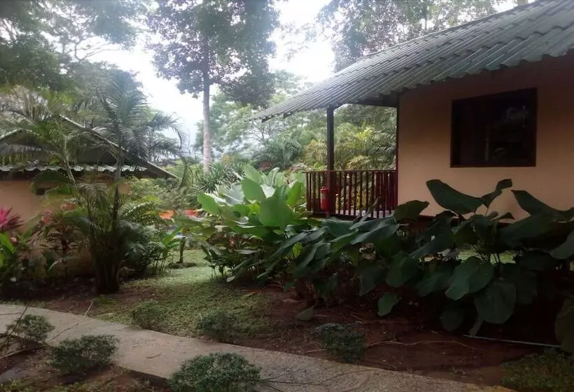 ホテル Saint Tropez Resort