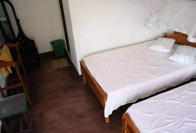 ペンション Elegant Home Stay