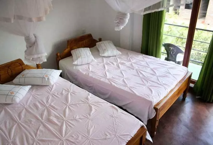 ペンション Elegant Home Stay