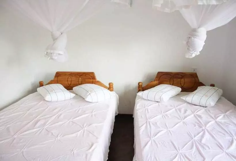 ペンション Elegant Home Stay