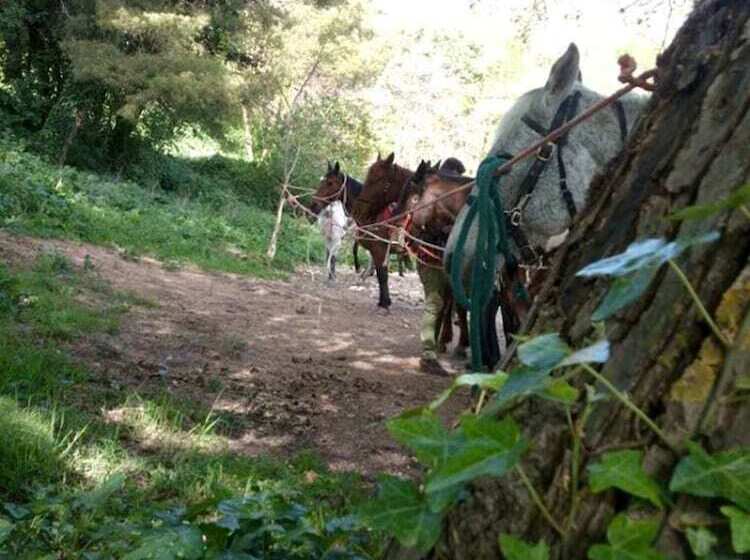 פנסיון Villa Nives