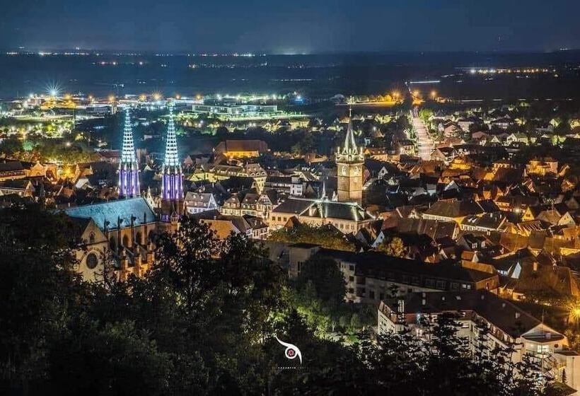 Studio 1 Location De Vacances Obernai