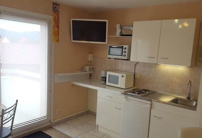 Studio 1 Location De Vacances Obernai