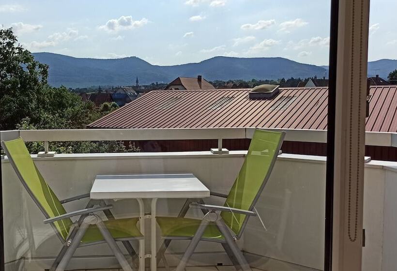 Studio 1 Location De Vacances Obernai