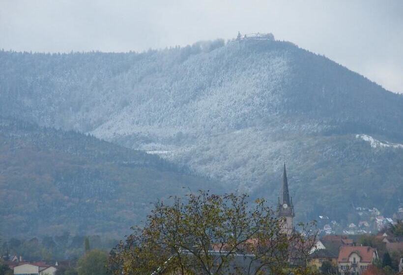 Studio 1 Location De Vacances Obernai