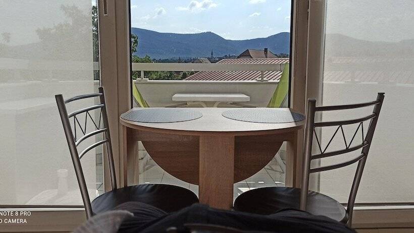 Studio 1 Location De Vacances Obernai