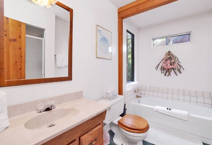 Temple Lake Views #2298