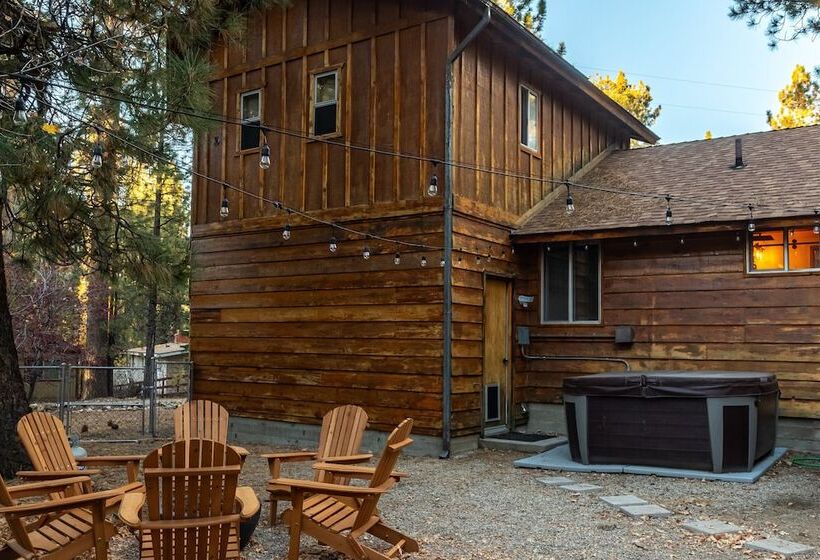 The Lost Compass #2165