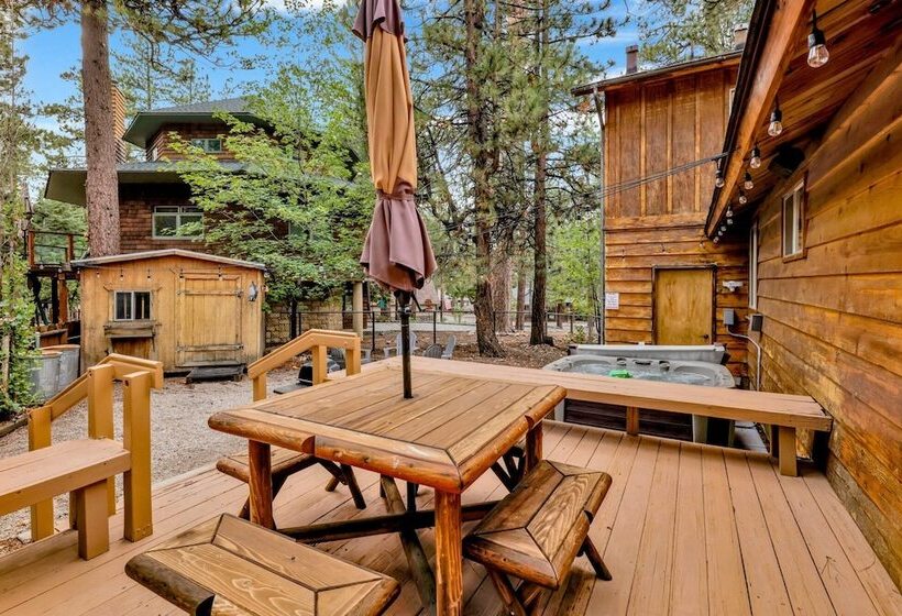 The Lost Compass #2165