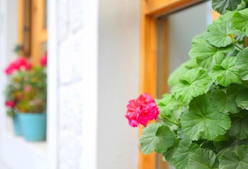 Fengma Feiyang Hostel