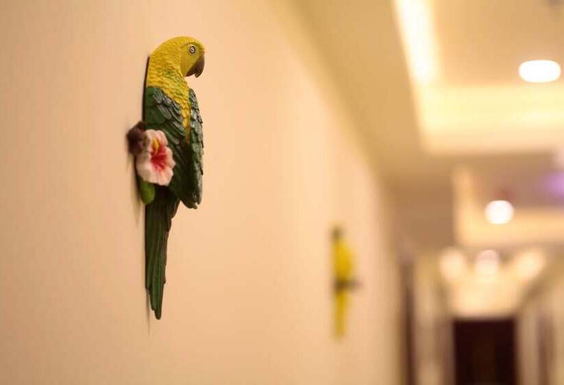 Care Hotel Coast Collection