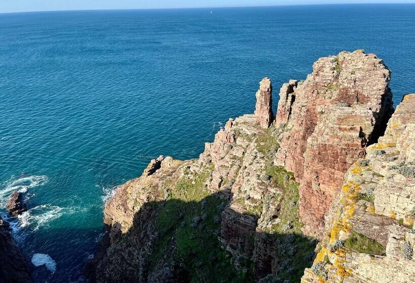 Aamiaismajoitus (B&B) Clos Du Cèdre   Maison Et Chambres D Hôtes à Dinan