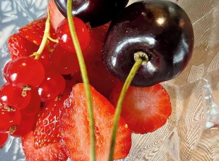 צימר Constance De Bretagne