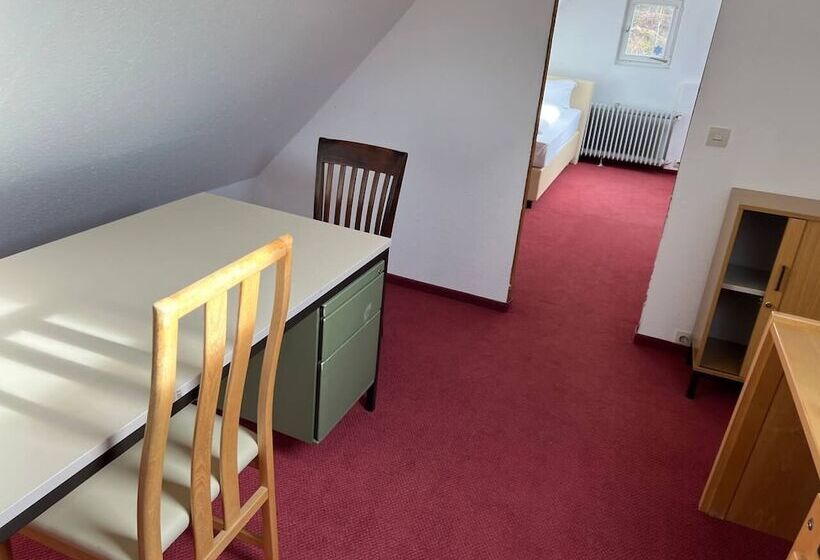 Room In Guest Room   Pension Forelle   Double Room No01 In Hundsbach