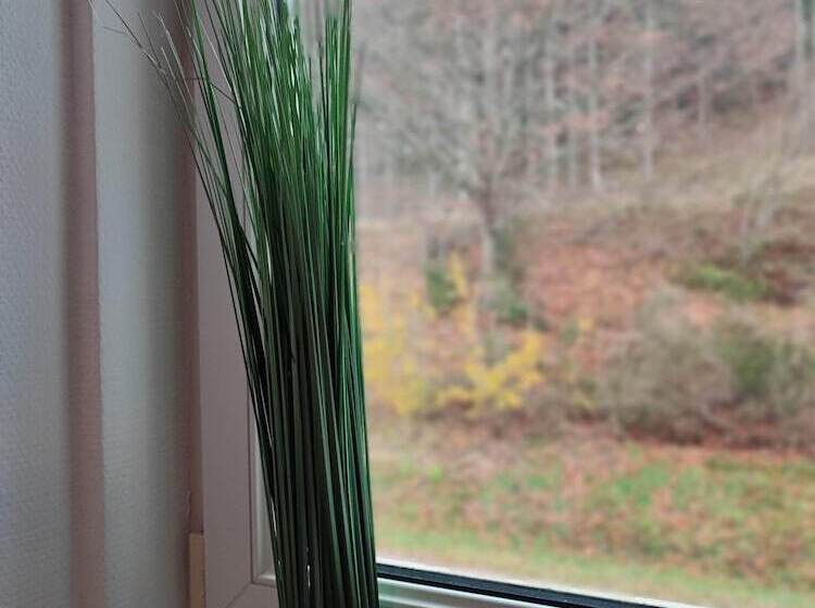 Room In Guest Room   Pension Forelle   Double Room No01 In Hundsbach